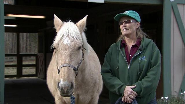 Rare virus affecting horses in central NC
