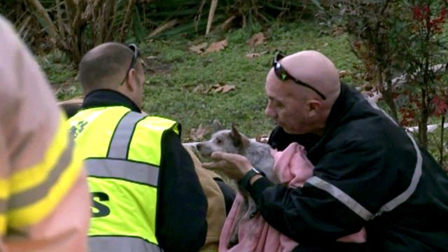 Woman injured trying to save pets from burning house