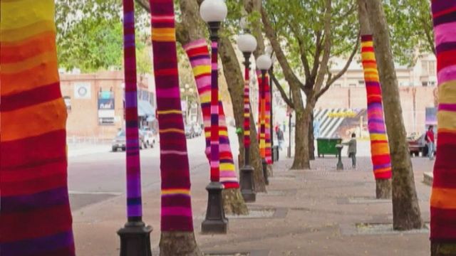 Trees bundle up for downtown art project