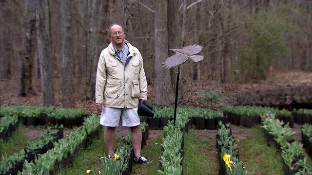 Chapel Hill man's yard blooming with generosity to help sick kids