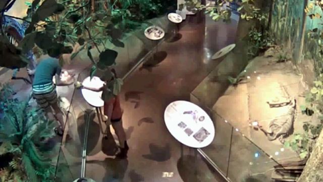 Museum thieves caught on security video