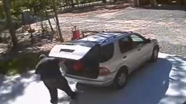 Surveillance video: Garage break-in