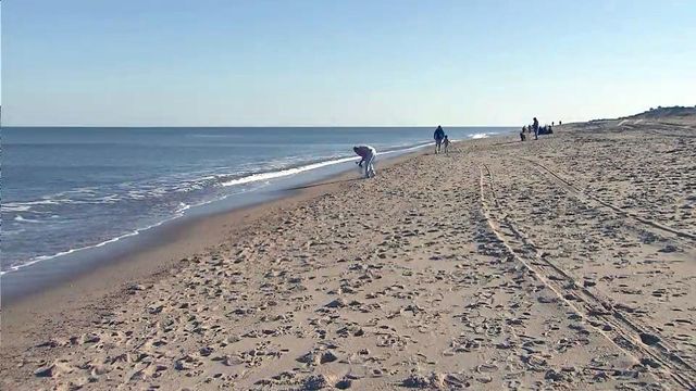 Nags Head named top travel spot for 2015
