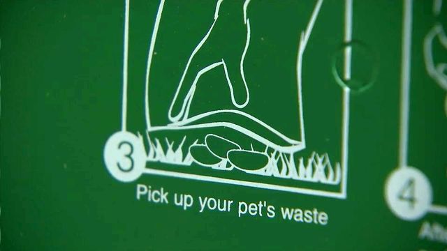 DNA tests could solve complex's problem with dog poop