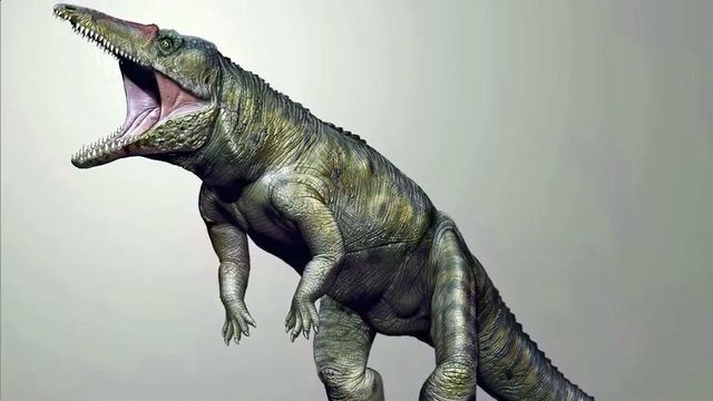 Crocodile-like creature reigned over North America before dinosaurs
