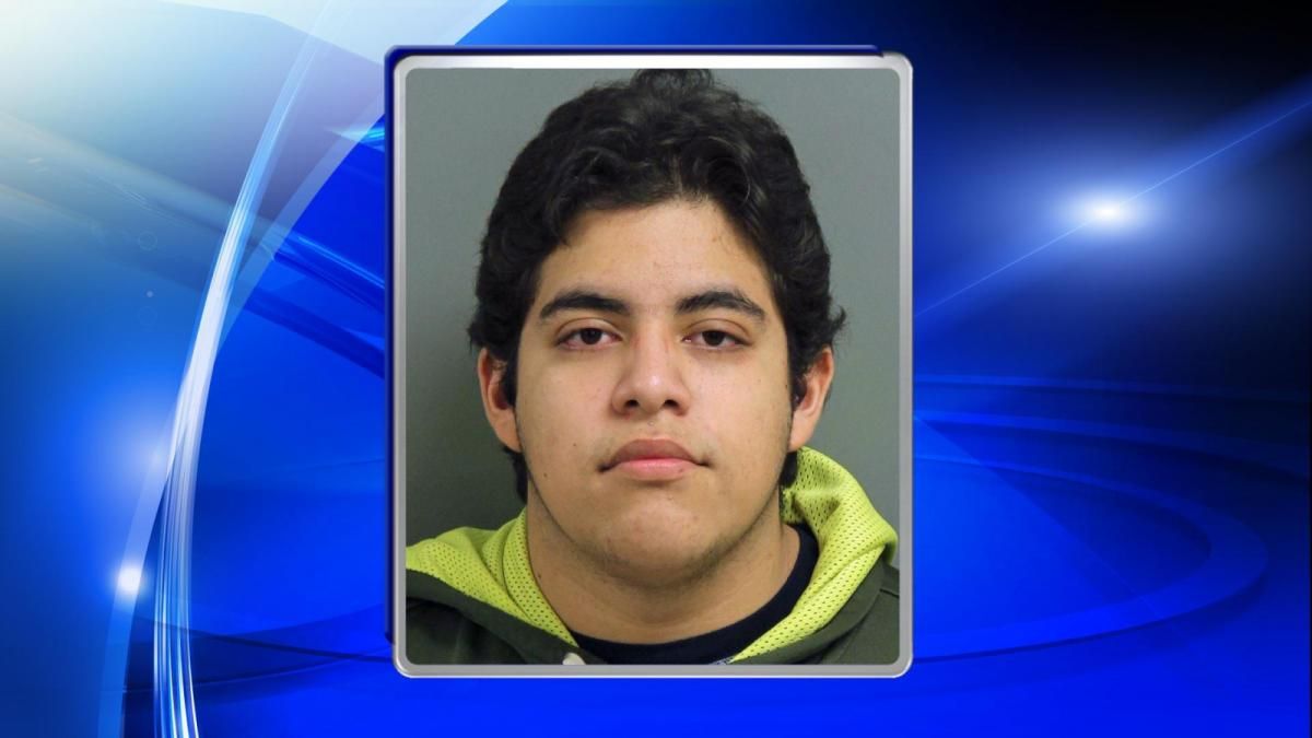 Raleigh teen faces child sex offense charges