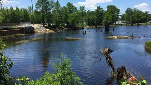 Godwin residents call Rhodes Pond an eyesore