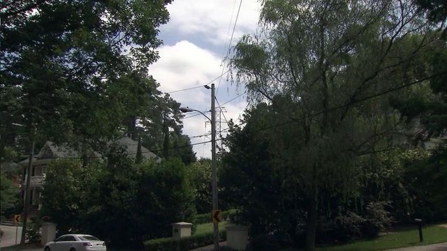 Homeowner offers to pay Duke to prune tree in power lines