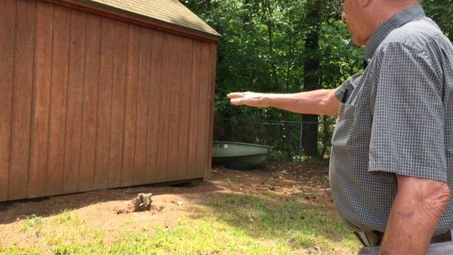 North Raleigh man concerned after rabid fox attack