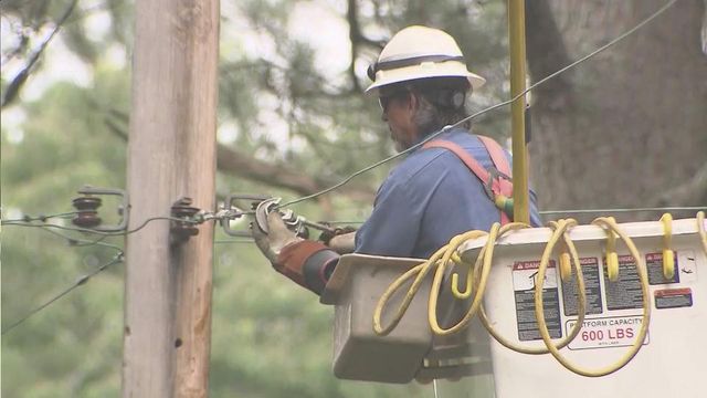 Large tree limb knocks out power to Raleigh neighborhood