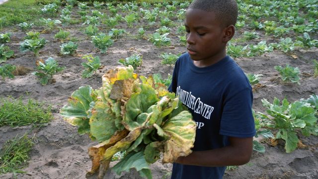 Farm camp generates big changes in small Edgecombe County town