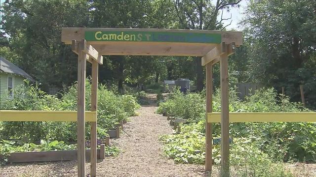 Jamie Kirk Hahn's legacy lives on through Camden Street Learning Garden