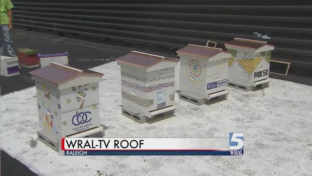 Bee hives on roof of WRAL-TV building
