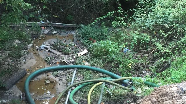 Man arrested after allegedly dumping waste near creek