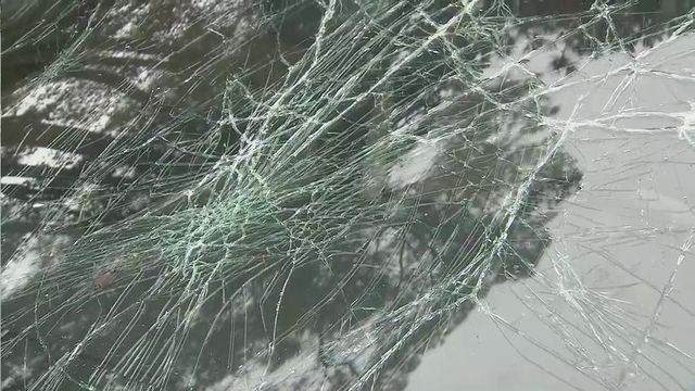 Two cars struck by tree on I-95