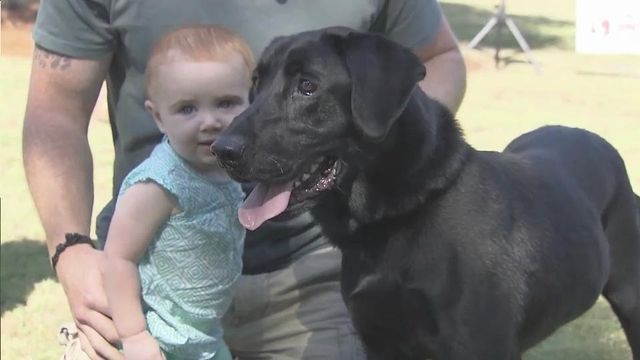 Former K9 handlers reunited with four-legged companions