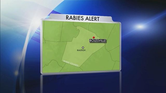 Encounter with rabid fox was ‘scary experience’ for Rolesville couple