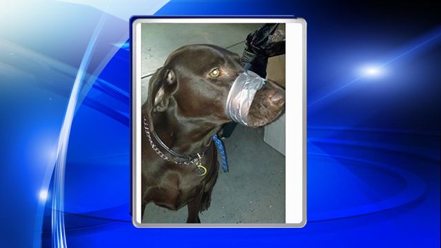 Police: Social media led to animal cruelty charges