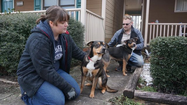 Barking dogs save Fayetteville family from house fire