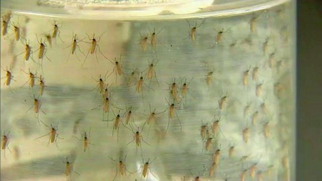 North Carolina aims to get ahead of Zika virus