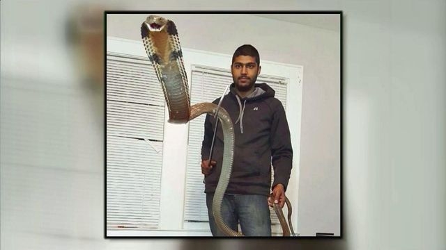Man bitten by king cobra in Orange County home