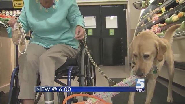 Service animal fraud continues across the country
