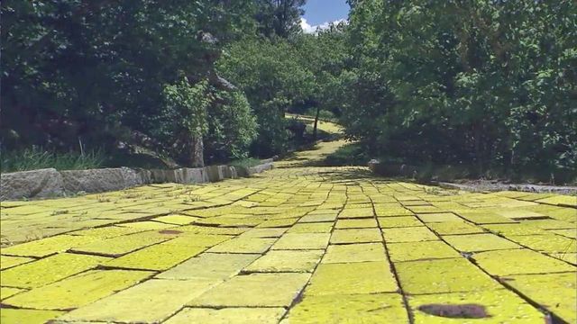 Visitors again follow yellow brick road to Land of Oz  