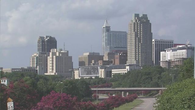 Raleigh city officials discuss plans to improve southern corridor