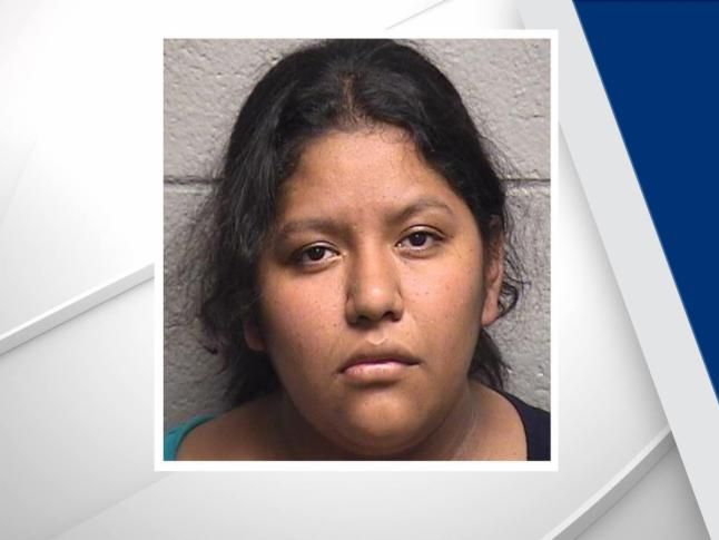 Mother charged with manslaughter, neglect in death of toddler found in van