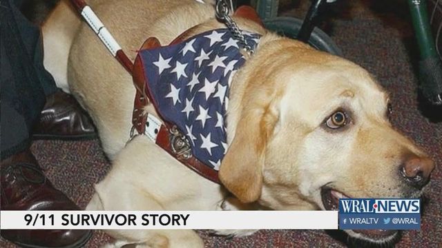1,463 stairs: Survivor recounts escape from World Trade Center led by guide dog
