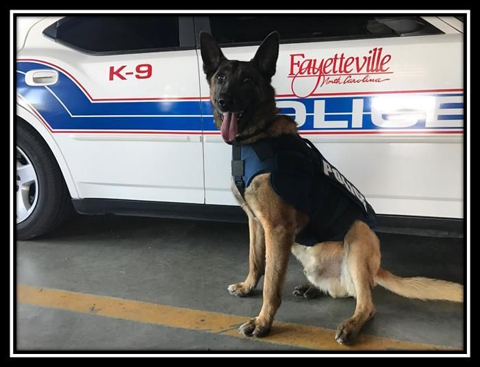 K9 Rambo Fayetteville police: K9 Rambo to retire Thursday