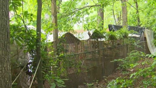 Wake County couple complains neighbor's hundreds of roosters crow