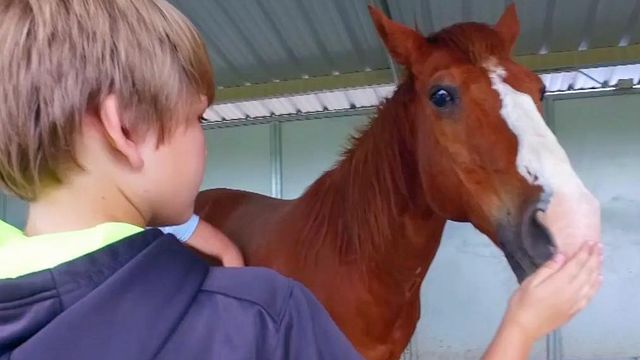 Hope Reins helps children in crisis through equine therapy