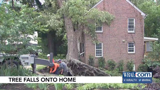Giant tree falls on Durham home, presenting 'big challenge' for arborists