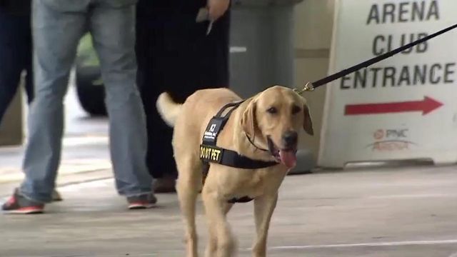 Bomb-sniffing dogs get to work at PNC Arena