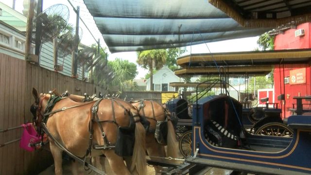 Heat wave puts SC carriage horses in park