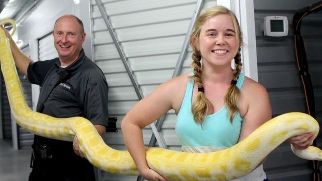 Python found at Chatham County storage facility 