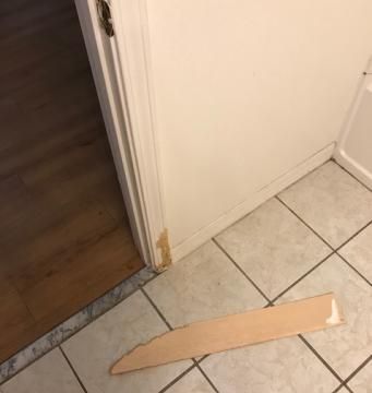 Students met with bugs, mildew in ‘move-in ready’ Raleigh apartments 