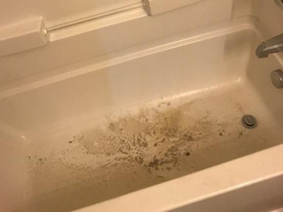 Students met with bugs, mildew in ‘move-in ready’ Raleigh apartments 