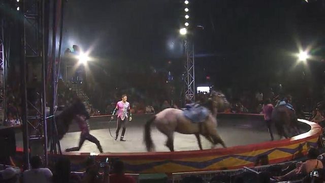 Friend honors Durham activist with day at the circus for 100 local children
