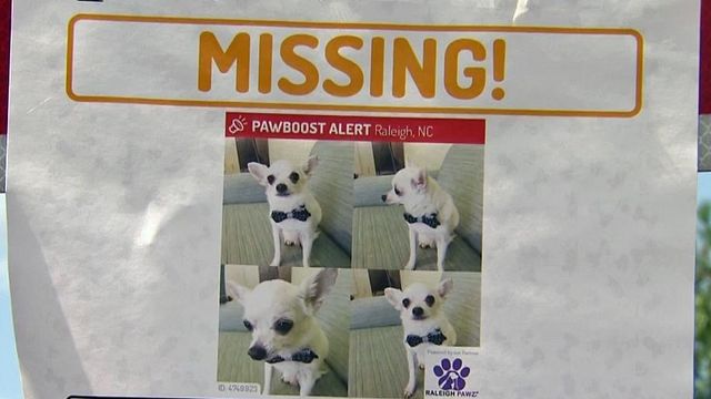 Search continues for missing deaf, elderly dog