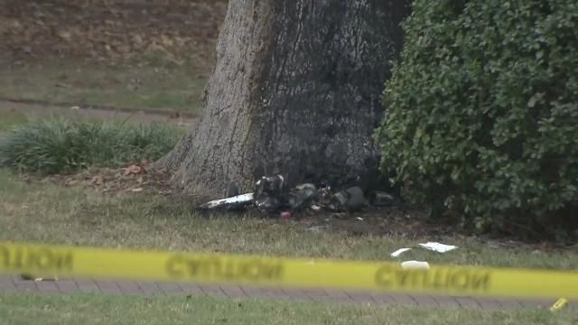 Device detonated at Davie Poplar tree