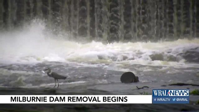 Demolition begins on Milburnie Dam