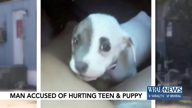 Boyfriend accused of attack on puppy, teen