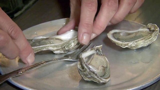 After years of struggle, Green Gill oysters now available at Durham restaurant 