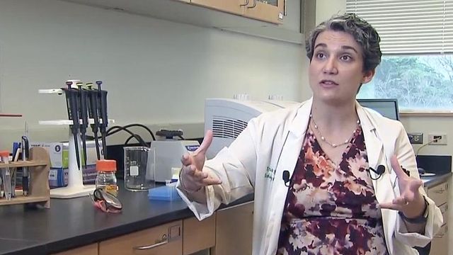 FSU professor explains the science behind the flu vaccine