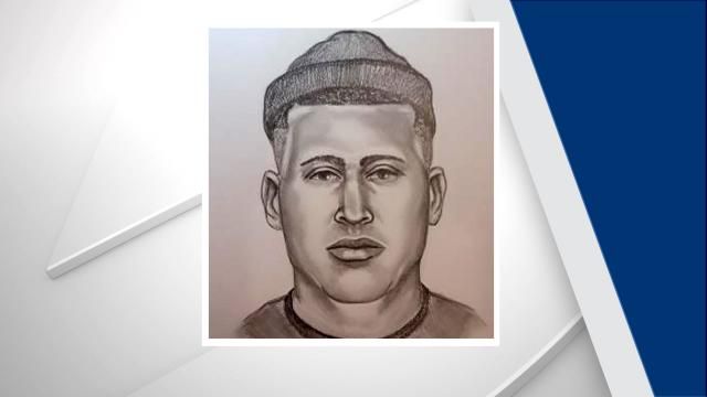 Suspect sketch in Bakers Grove Way homicide