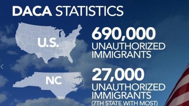 DACA stats