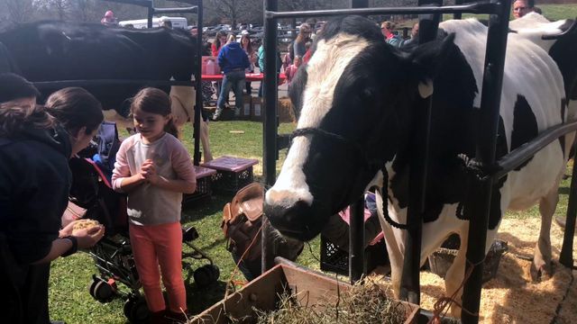 NC kids get hands-on experience with farm animals
