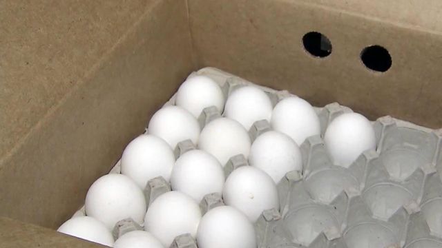 Family bought suspect carton of eggs at Walmart